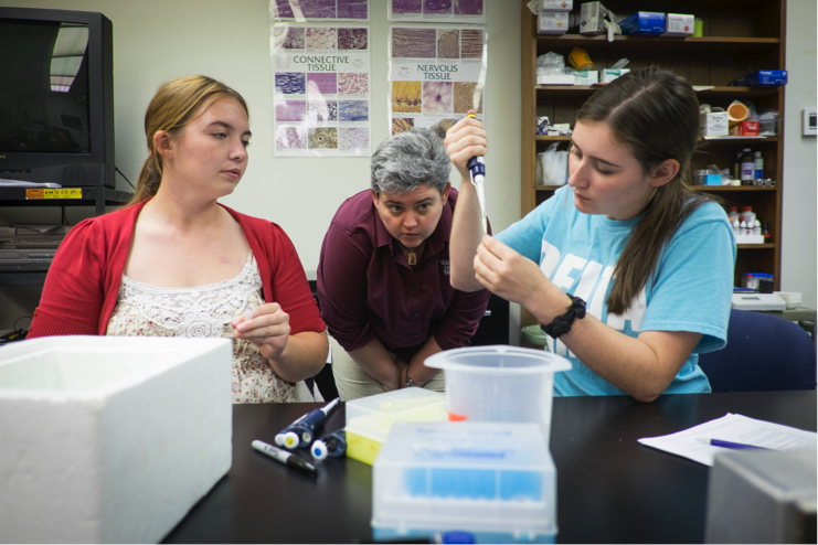 Bachelors in biology students practice molecular biology